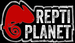 repti-planet.png